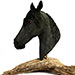 Black Horse Bust